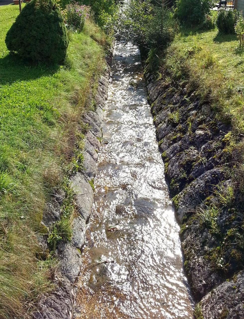 Dasgams Gosau Exterior foto